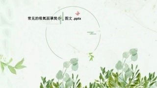 常见的吸氧面罩简介讲座