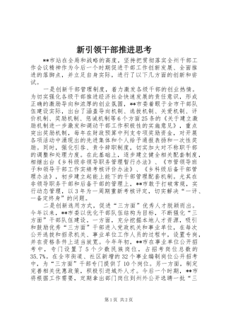 新引领干部推进思考