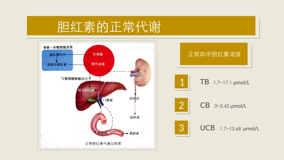 常见症状黄疸_第3页