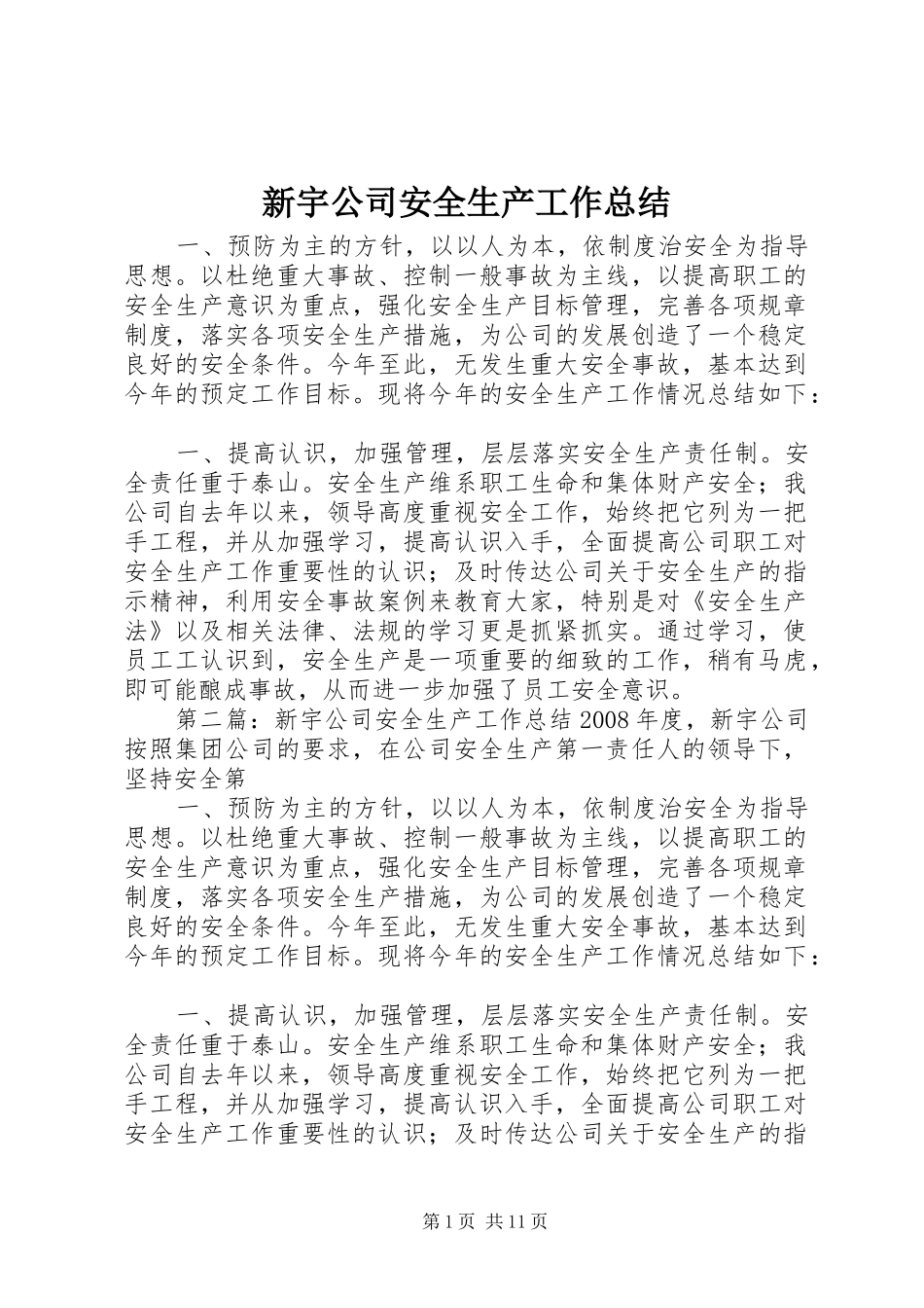 新宇公司安全生产工作总结_第1页