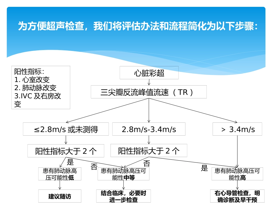 超声科最新版肺动脉高压评估办法_第3页