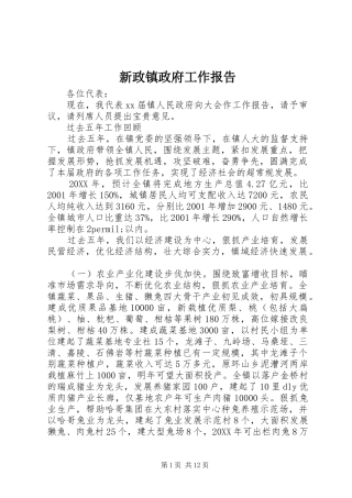 新政镇政府工作报告
