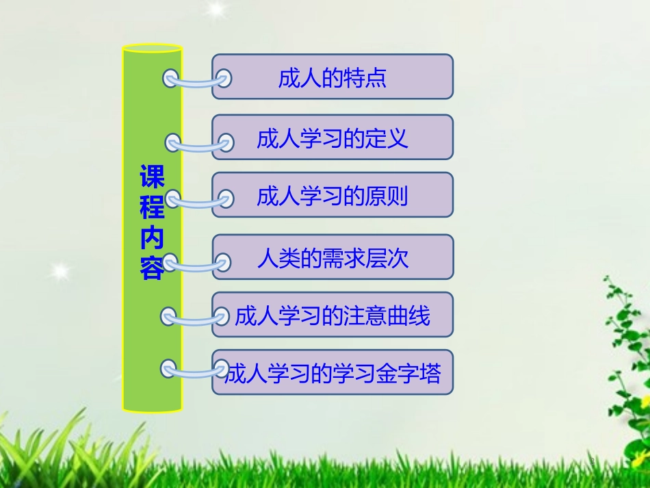 成人学习原理_第3页