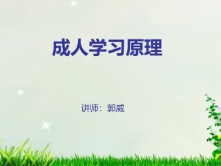 成人学习原理
