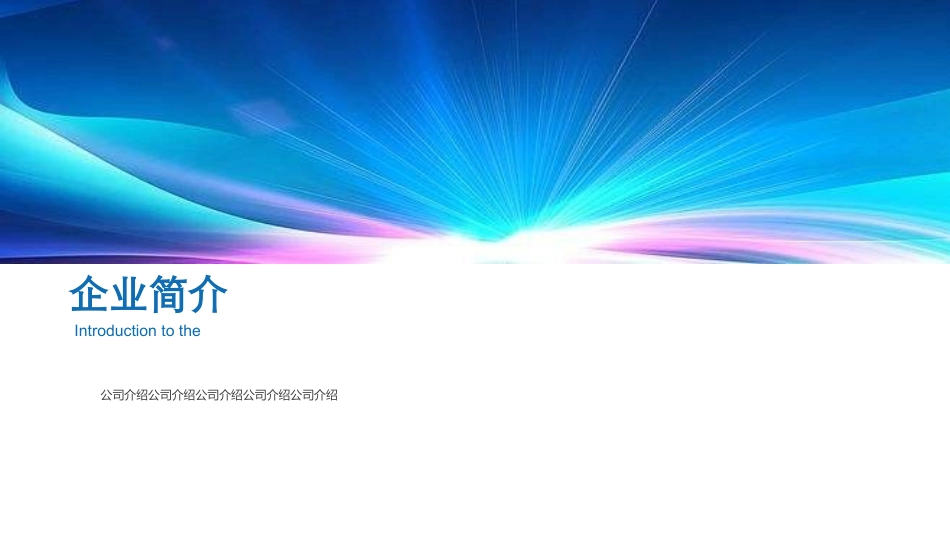 城市综合管理与指挥系统介绍_第3页