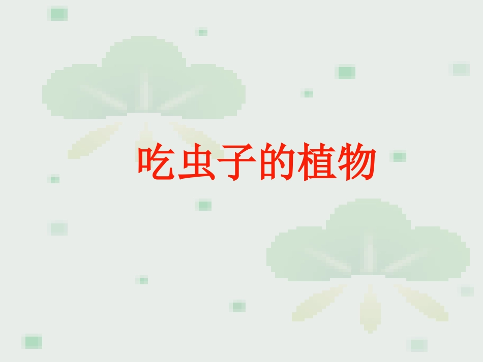 吃虫子的植物课件_第1页