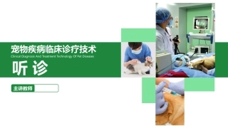 宠物疾病诊疗技术课件听诊
