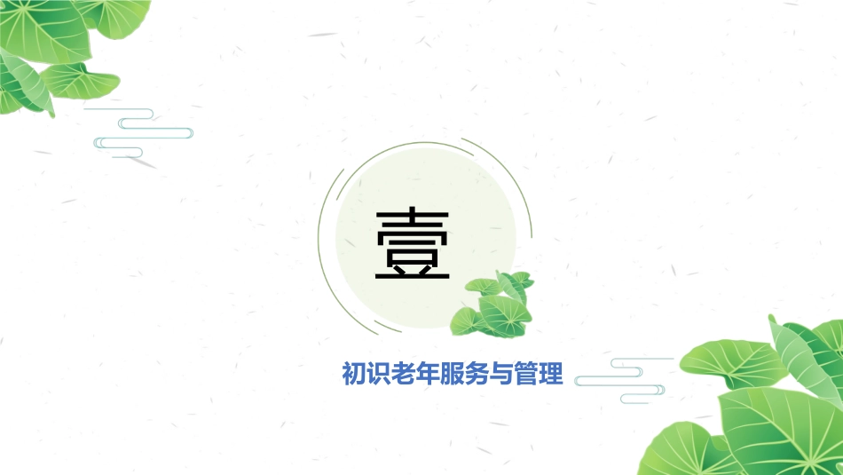 初识老年服务与管理_第3页