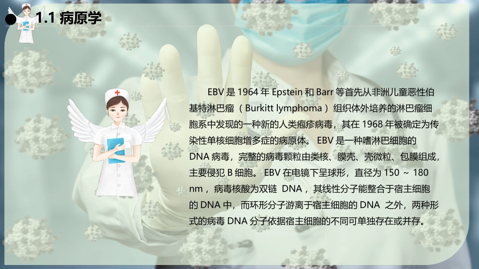 传染性单核细胞增多症患者的护理_第3页