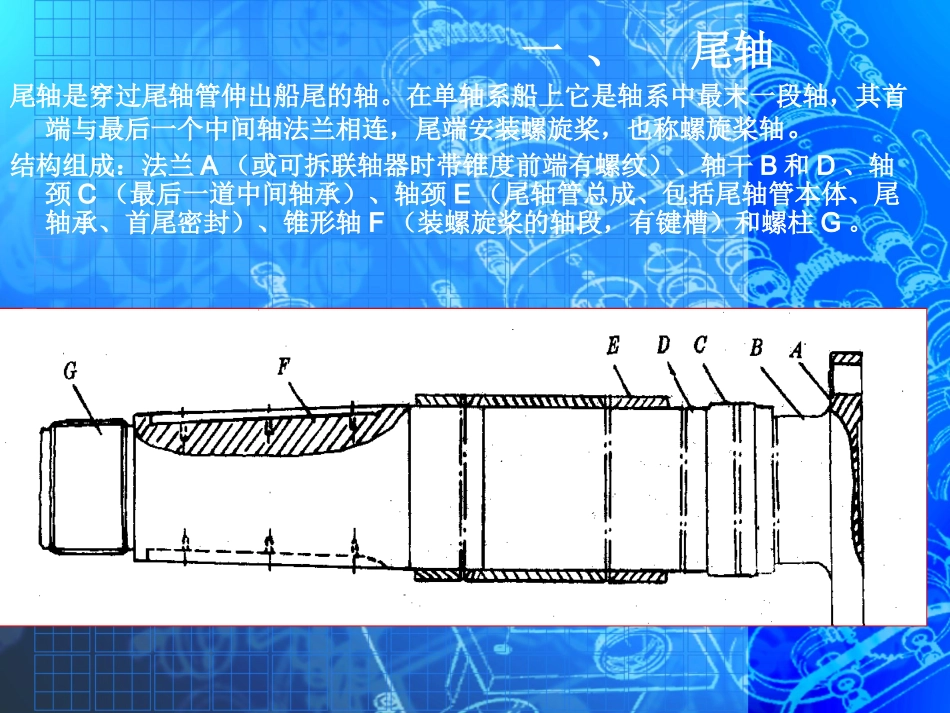 船舶尾轴及尾轴管装置_第2页