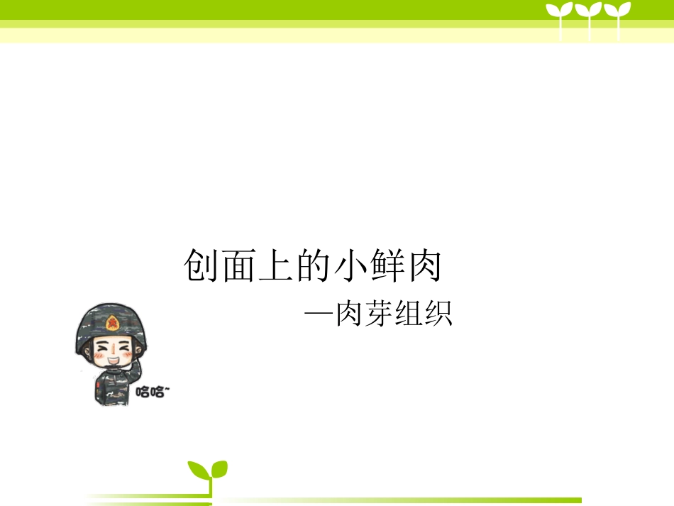 创面肉芽组织_第1页