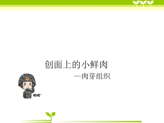 创面肉芽组织