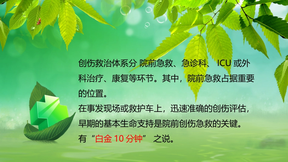 创伤院前评分_第2页