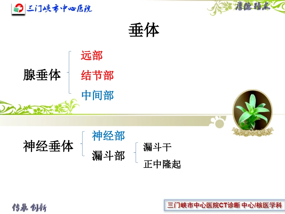垂体解剖及垂体瘤_第2页