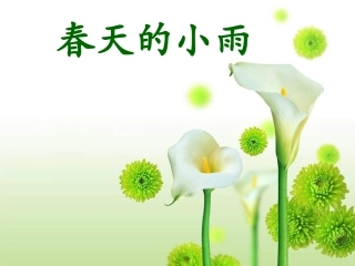 春天的小雨课件