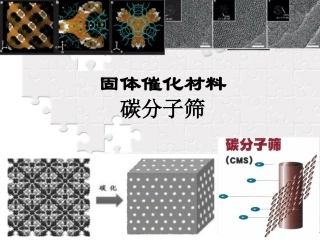 催化碳材料碳分子筛