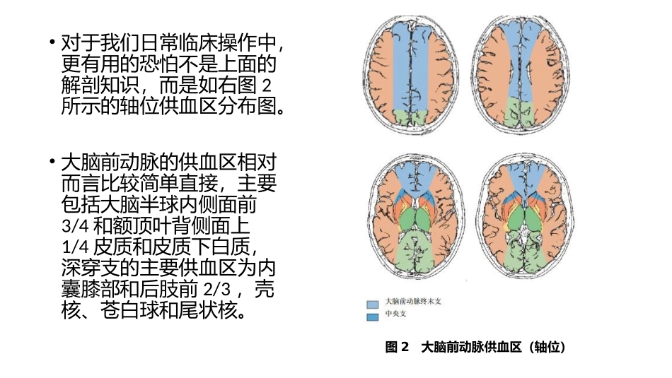 大脑前动脉梗死特点_第3页