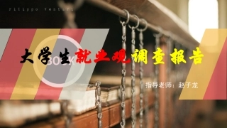 大学生就业观调查报告