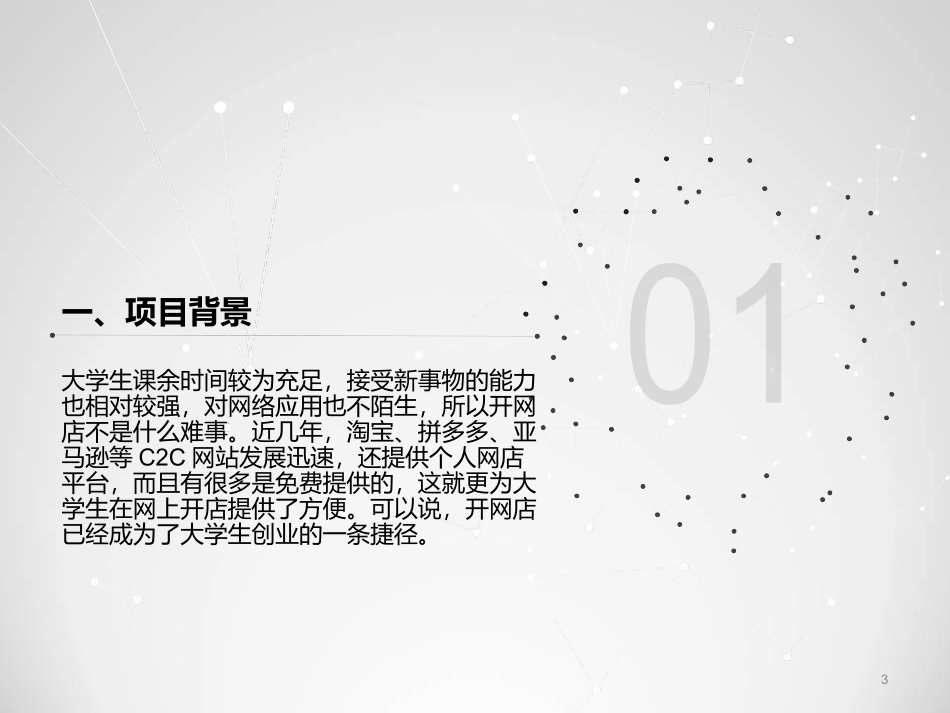 大学生网店创业计划书_第3页