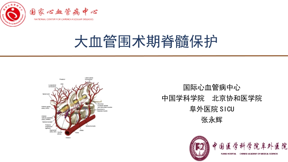 大血管围术期脊髓保护_第1页