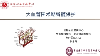 大血管围术期脊髓保护