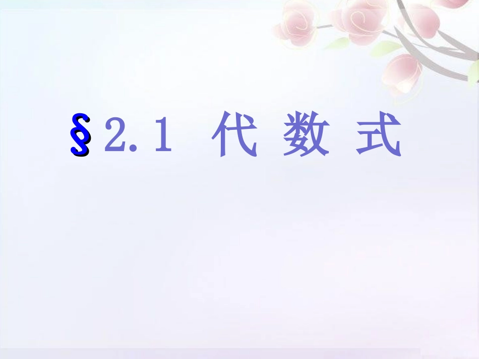 代数式列代数式_第1页