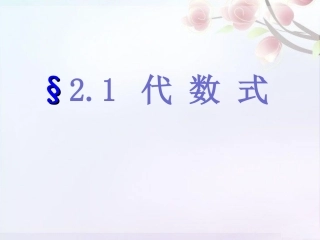 代数式列代数式