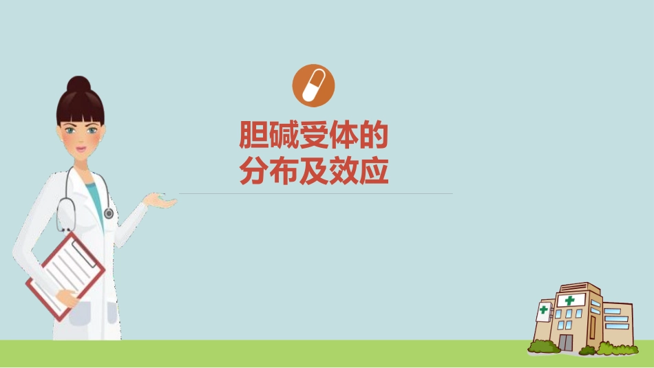 胆碱受体的分布及效应_第1页