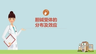 胆碱受体的分布及效应