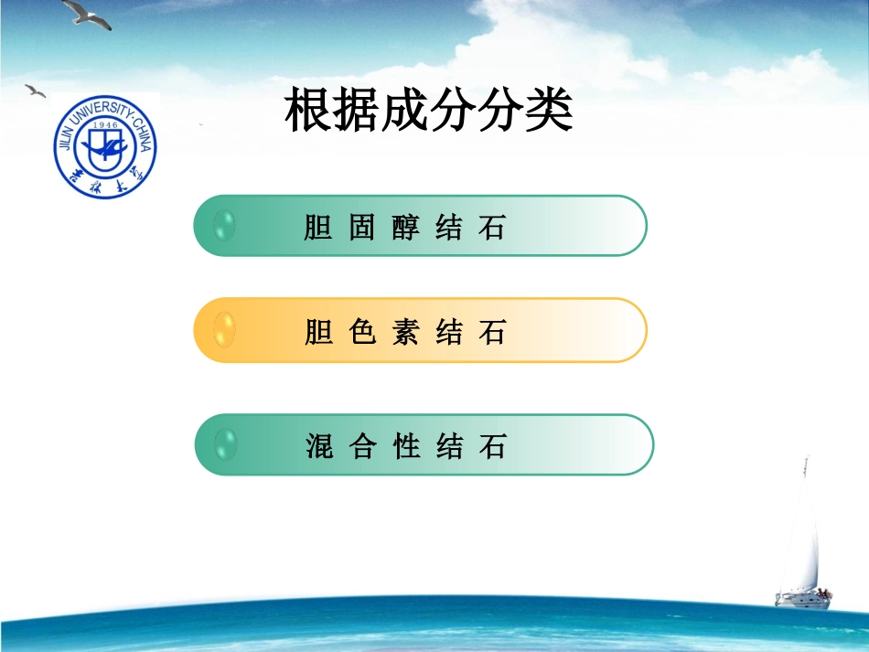 胆囊结石的超声表现_第2页