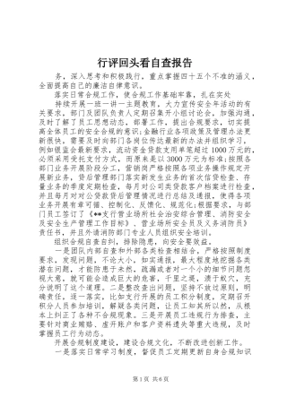 行评回头看自查报告