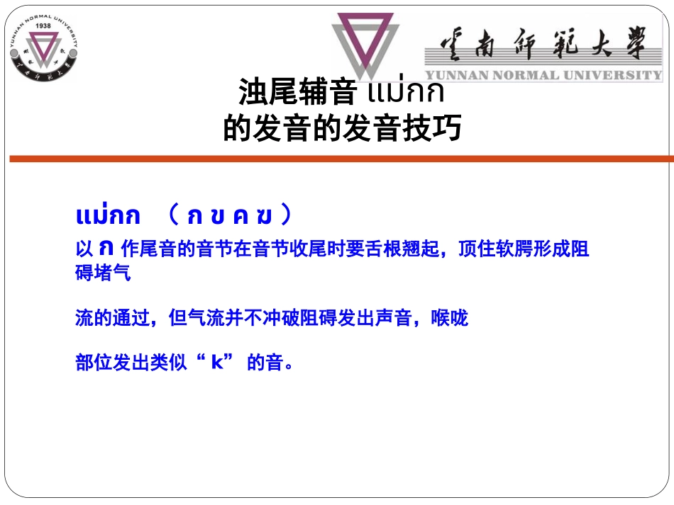 的音浊尾辅音_第3页