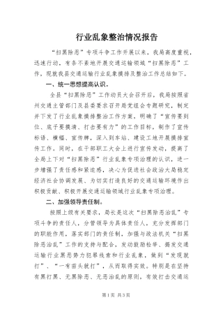 行业乱象整治情况报告