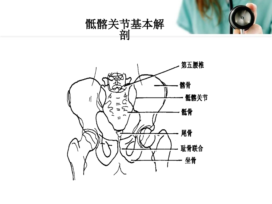 骶髂关节摄影_第2页