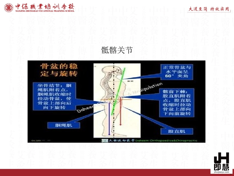 骶髂关节正骨_第3页