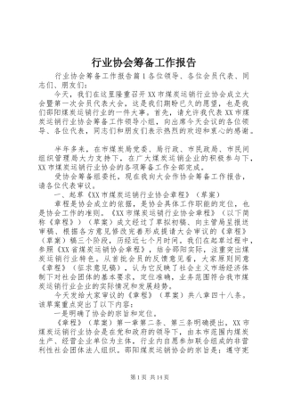 行业协会筹备工作报告