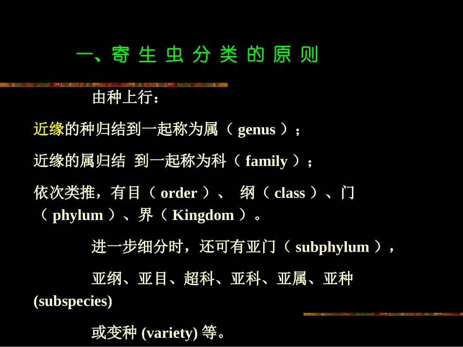 第三章寄生虫的分类与命名_第2页
