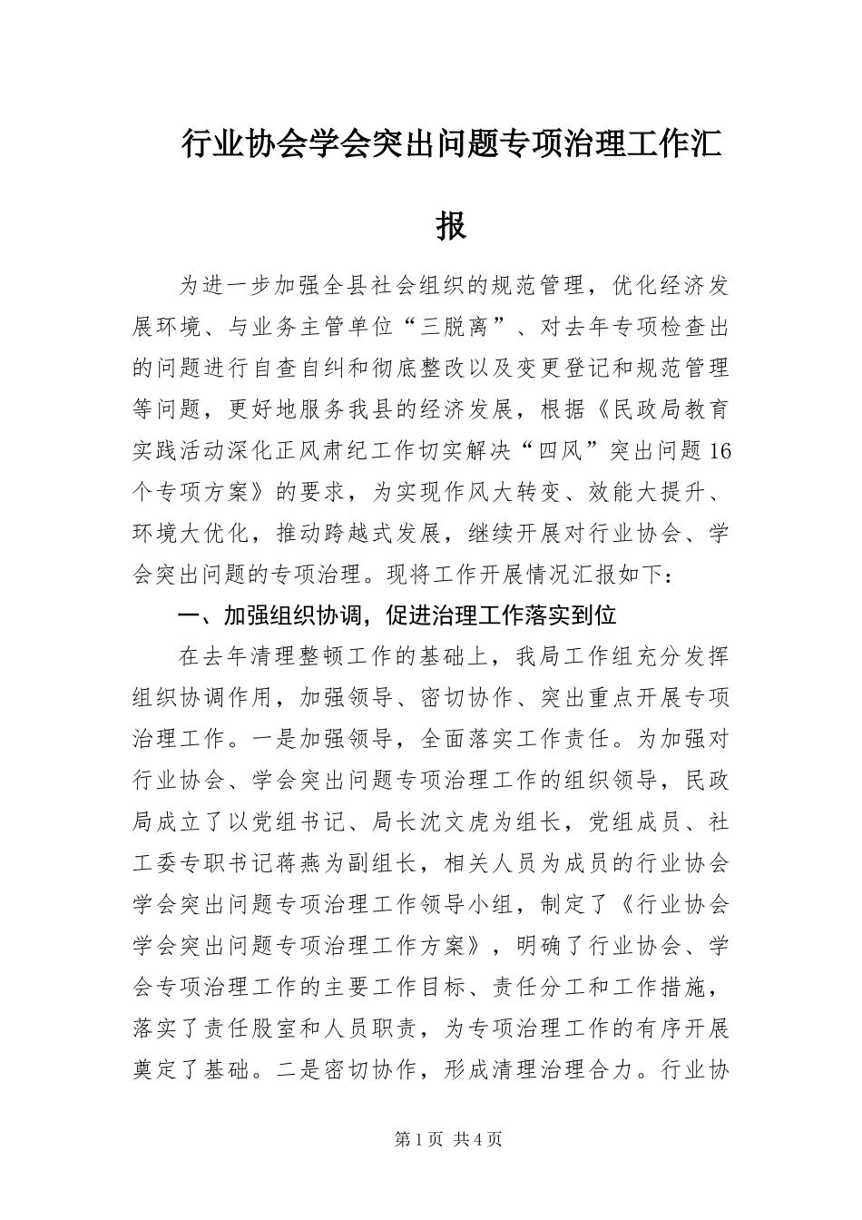 行业协会学会突出问题专项治理工作汇报_第1页