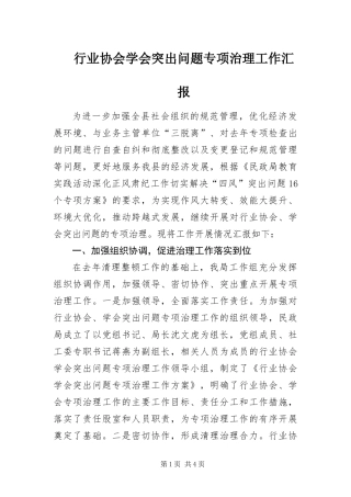 行业协会学会突出问题专项治理工作汇报
