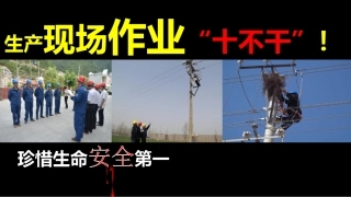 电力系统十不干