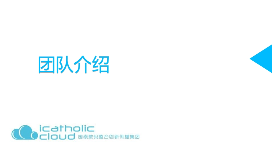 电商团队介绍_第1页