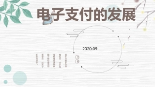 电子支付发展