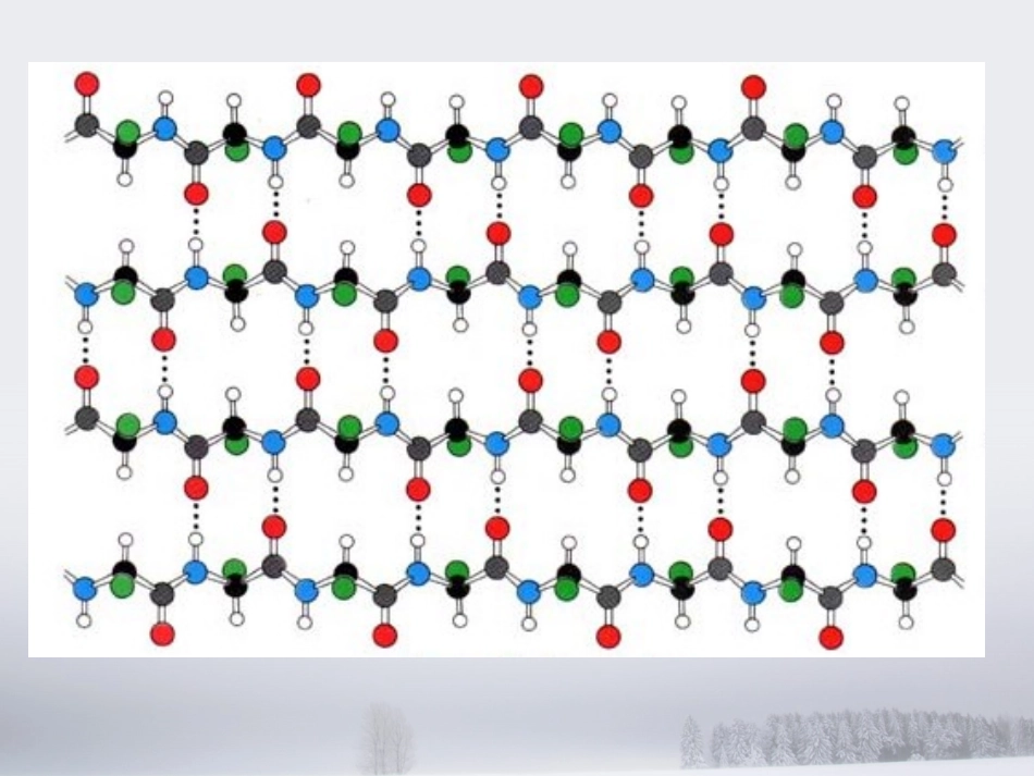 淀粉样变与轻链沉积病_第3页