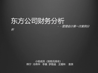东方公司财务分析