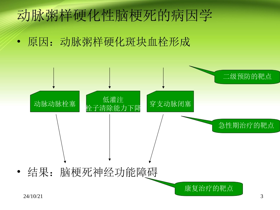 动脉粥样硬化性脑梗死_第3页