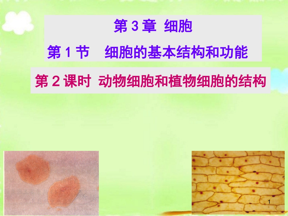 动物细胞和植物细胞的结构_第1页