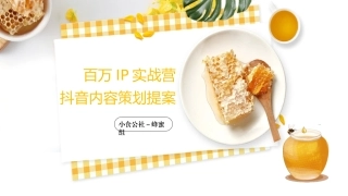 抖音IP打造运营定位文档
