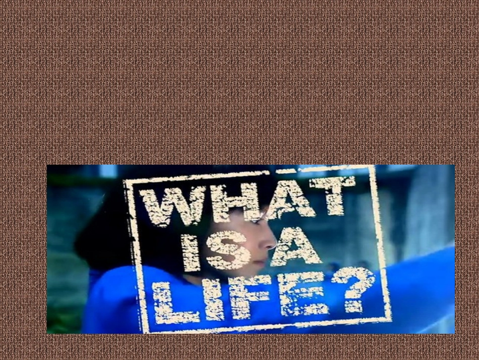 读书心得余华的活着课件_第2页