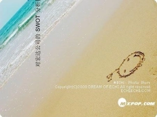 对宏达的SWOT分析报告fjy