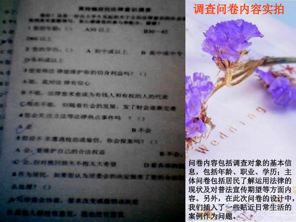 对镇居民调查报告普法情况_第2页